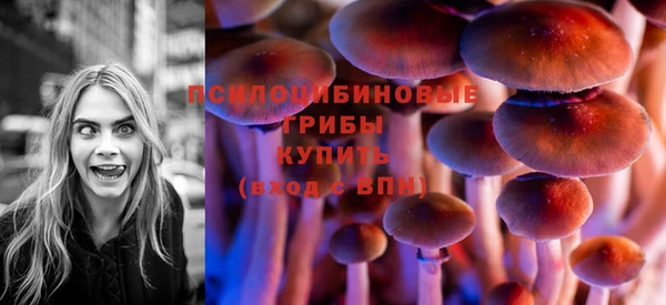стаф Алзамай
