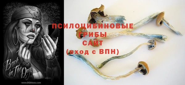 ешки Алексеевка