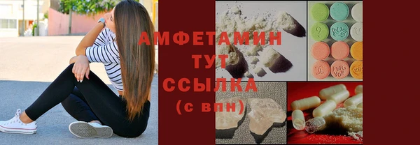 стаф Алзамай