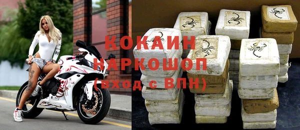 стаф Алзамай
