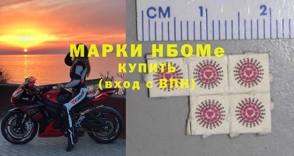 стаф Алзамай
